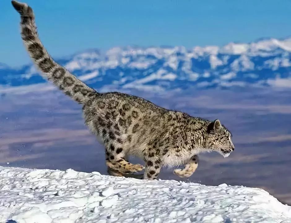 ���أ���ȫ���緢�����뺯