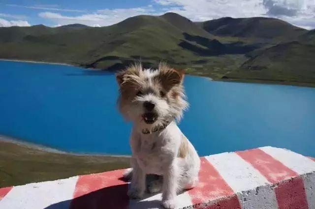 ���£�һ��һ�������أ�ʷ���������˹�����ů�����¶������У�