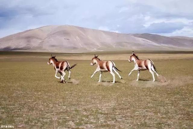 һ�����أ������������