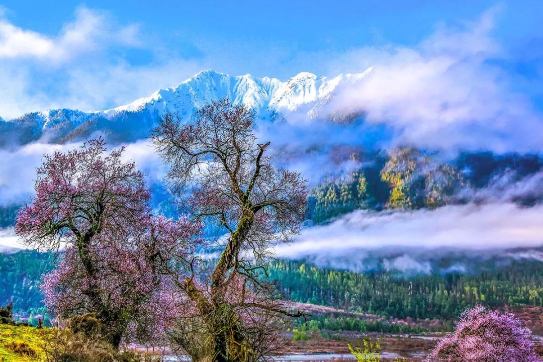 2019�꣬һ��Ҫȥ��������N�����顣