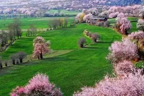 ������ȥ��ȥ���أ��㶼Ӧ���ղ���ƪ����