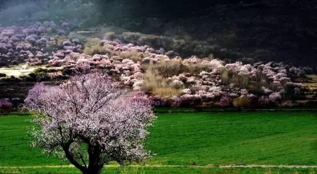 ��֥�һ������Դ�������������