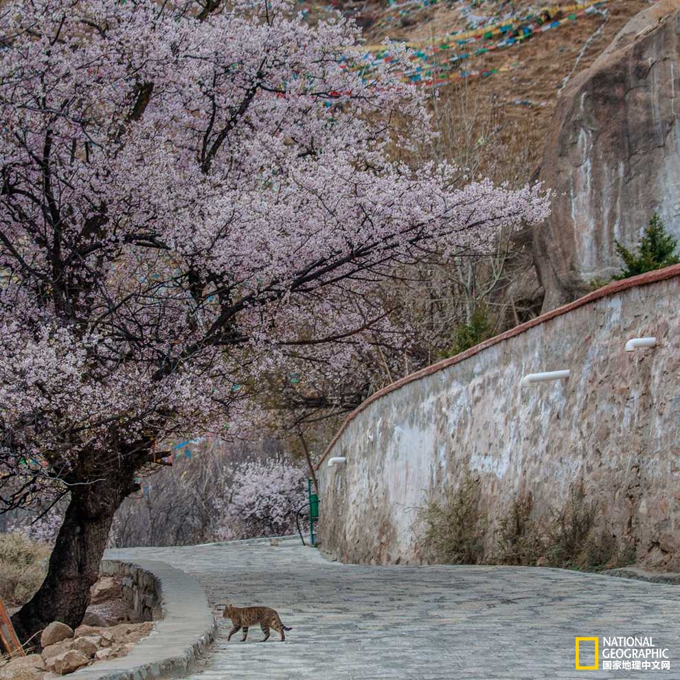 ��һ�����ء��һ��ˡ��������ڴ���Ҳ���ȣ������һ����ལ�
