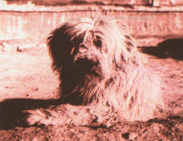 �ɴ������أ�1938-1939�����󹫻�