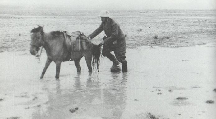 �ɴ������أ�1938-1939�����󹫻�