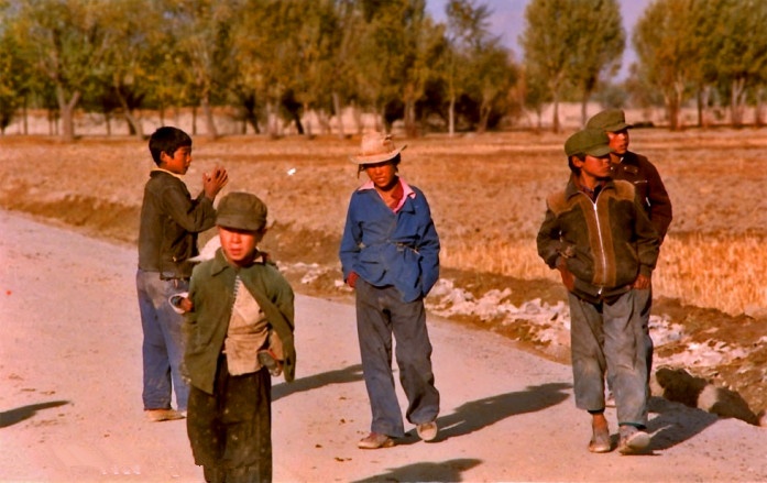 ����Ƭ��Ӣ���ο;�ͷ��1985�������־�